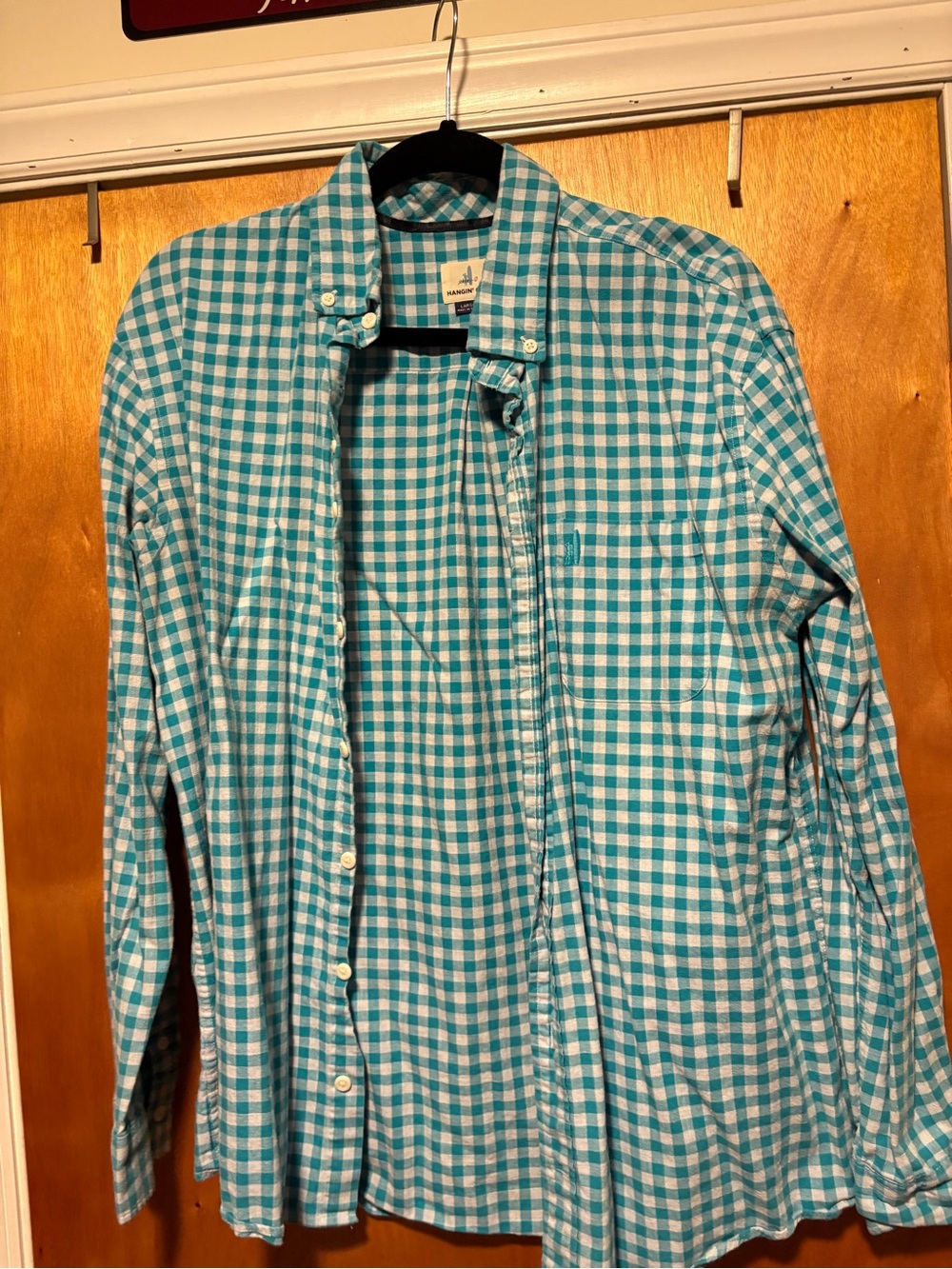 johnnie-O Teal and White Gingham Button-Down Shirt